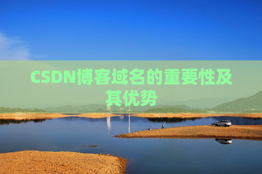 CSDN博客域名的重要性及其优势